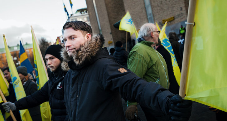 Stefan Löfven, Sverigedemokraterna, Fascism, våld, SDU